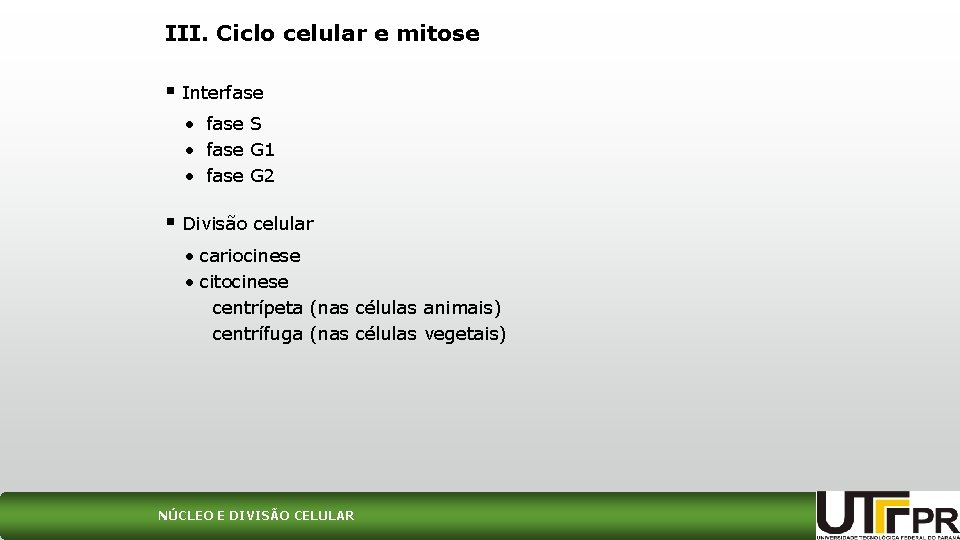 III. Ciclo celular e mitose § Interfase • fase S • fase G 1