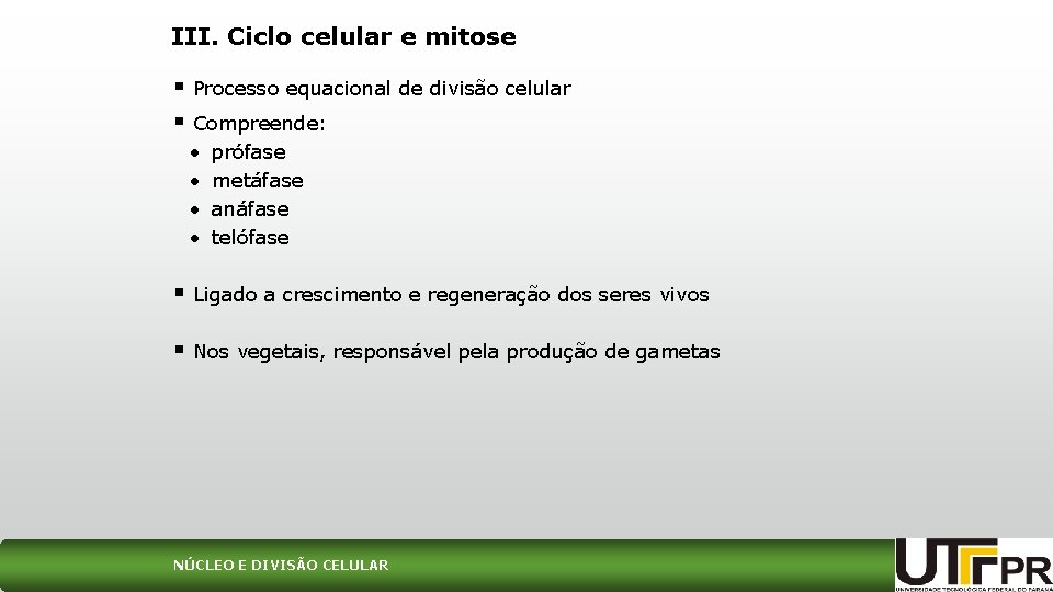 III. Ciclo celular e mitose § Processo equacional de divisão celular § Compreende: •