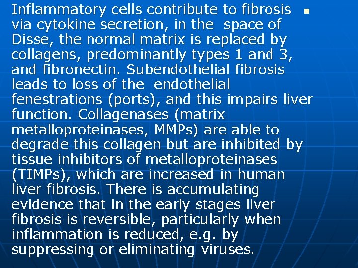 Inflammatory cells contribute to fibrosis n via cytokine secretion, in the space of Disse,