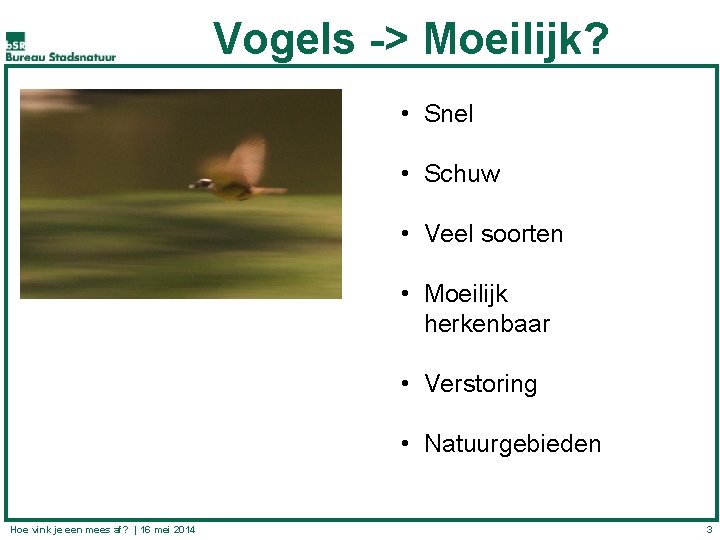 Vogels -> Moeilijk? • Snel • Schuw • Veel soorten • Moeilijk herkenbaar •