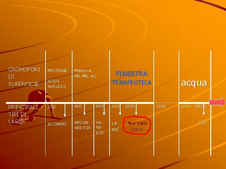 CROMOFORI DI SUPERFICIE PROTEINE PRINCIPALI TIPI DI LASER 200 400 600 800 ECCIMERI ARGON