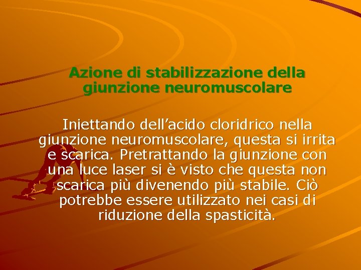 Azione di stabilizzazione della giunzione neuromuscolare Iniettando dell’acido cloridrico nella giunzione neuromuscolare, questa si