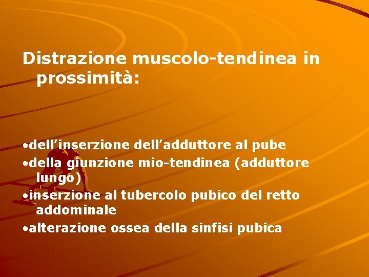 Distrazione muscolo-tendinea in prossimità: • dell’inserzione dell’adduttore al pube • della giunzione mio-tendinea (adduttore