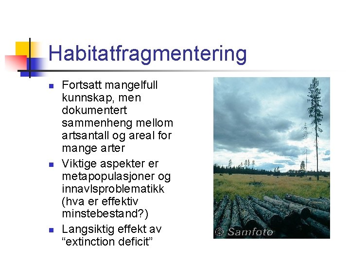 Habitatfragmentering n n n Fortsatt mangelfull kunnskap, men dokumentert sammenheng mellom artsantall og areal