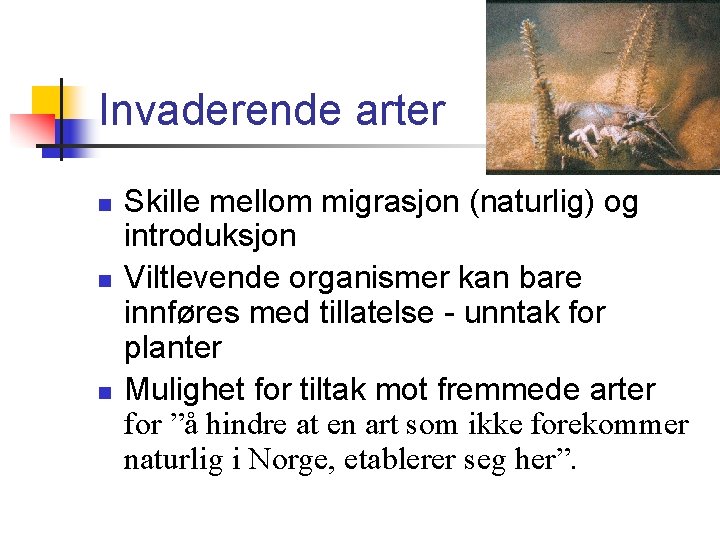 Invaderende arter n n n Skille mellom migrasjon (naturlig) og introduksjon Viltlevende organismer kan