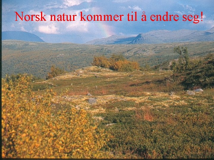 Norsk natur kommer til å endre seg! 
