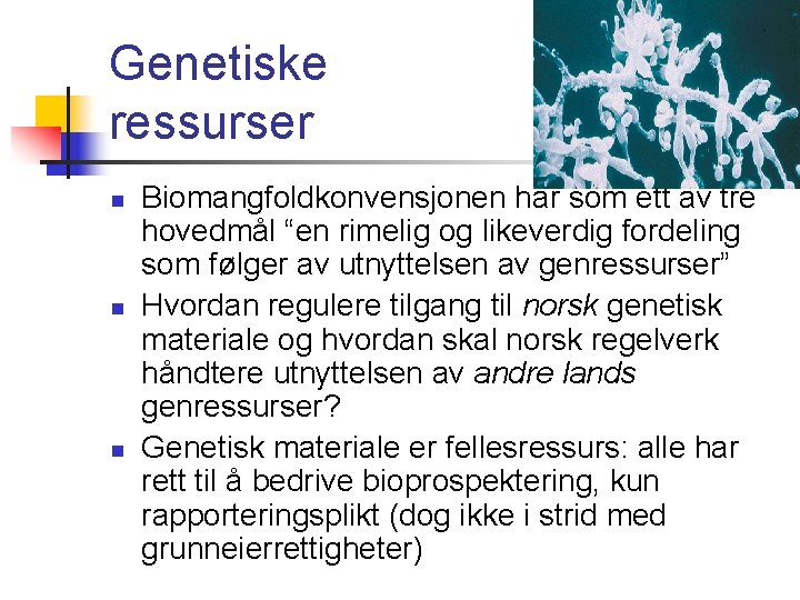 Genetiske ressurser n n n Biomangfoldkonvensjonen har som ett av tre hovedmål “en rimelig