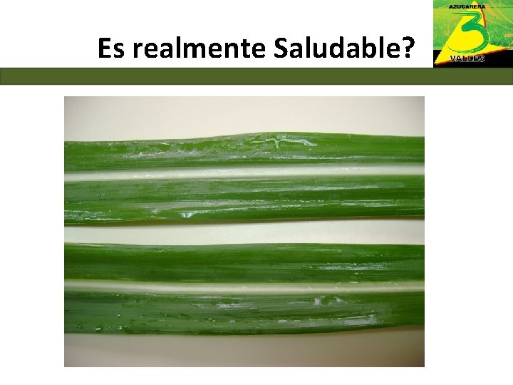 Es realmente Saludable? 