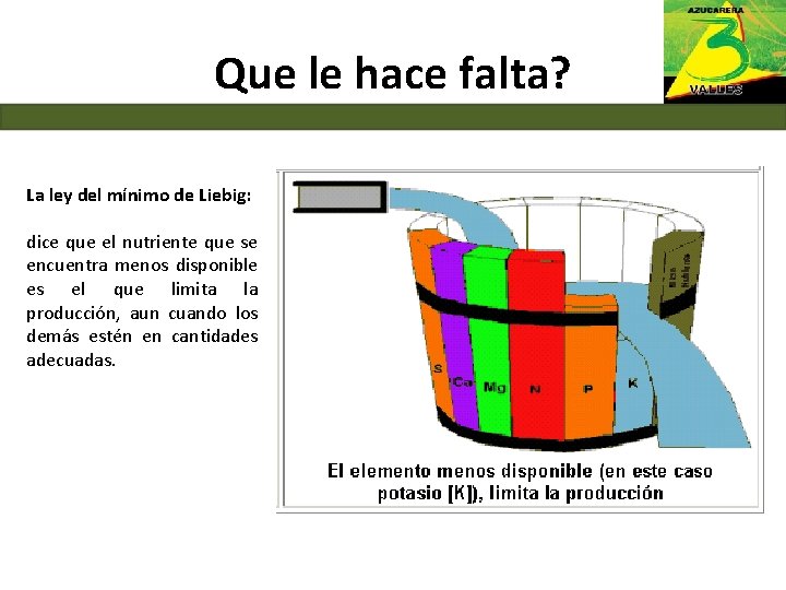 Que le hace falta? La ley del mínimo de Liebig: dice que el nutriente