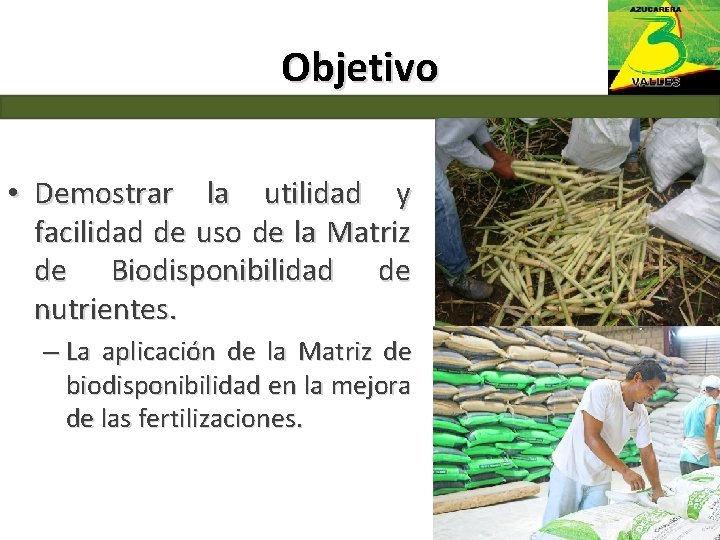 Objetivo • Demostrar la utilidad y facilidad de uso de la Matriz de Biodisponibilidad