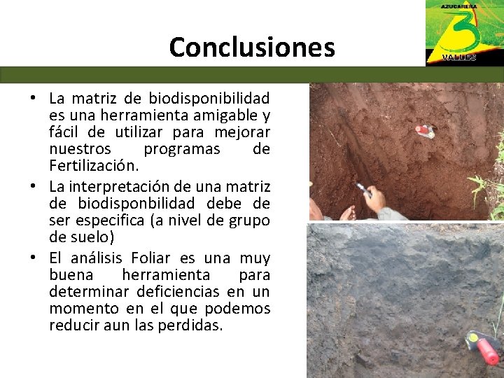 Conclusiones • La matriz de biodisponibilidad es una herramienta amigable y fácil de utilizar