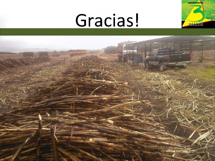 Gracias! 