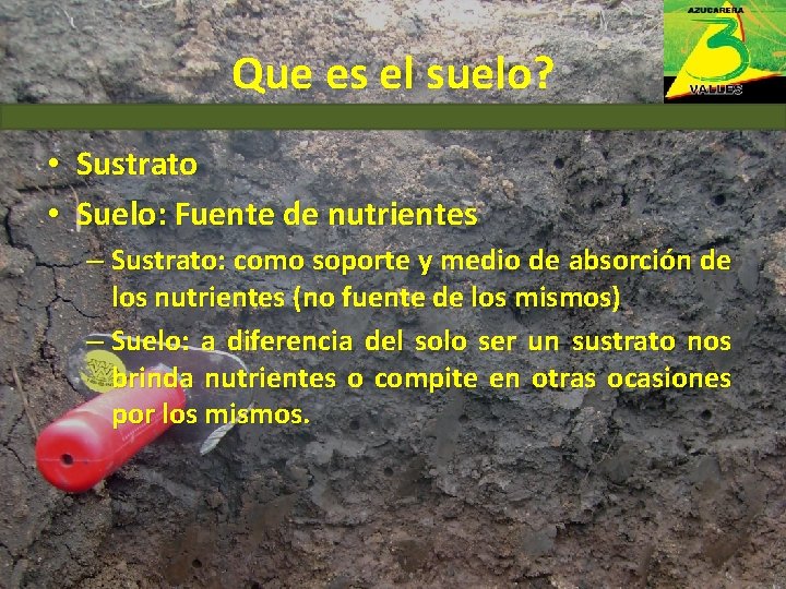 Que es el suelo? • Sustrato • Suelo: Fuente de nutrientes – Sustrato: como