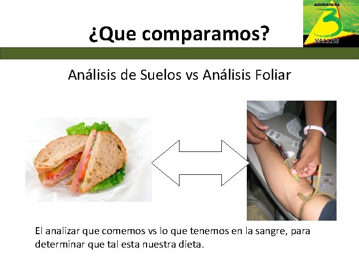 ¿Que comparamos? Análisis de Suelos vs Análisis Foliar El analizar que comemos vs lo