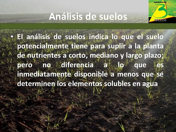 Análisis de suelos • El análisis de suelos indica lo que el suelo potencialmente