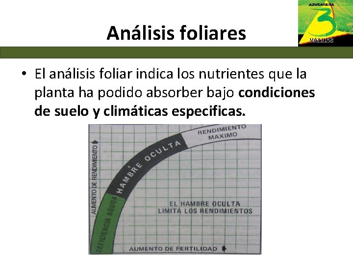 Análisis foliares • El análisis foliar indica los nutrientes que la planta ha podido
