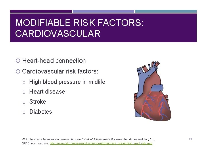 MODIFIABLE RISK FACTORS: CARDIOVASCULAR Heart-head connection Cardiovascular risk factors: o High blood pressure in