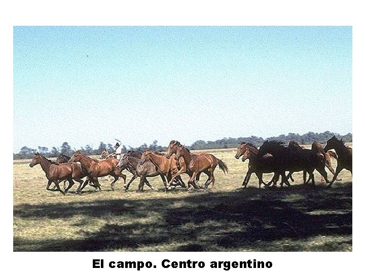 El campo. Centro argentino 