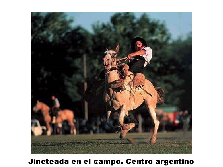 Jineteada en el campo. Centro argentino 