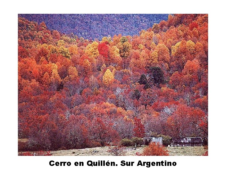 Cerro en Quillén. Sur Argentino 