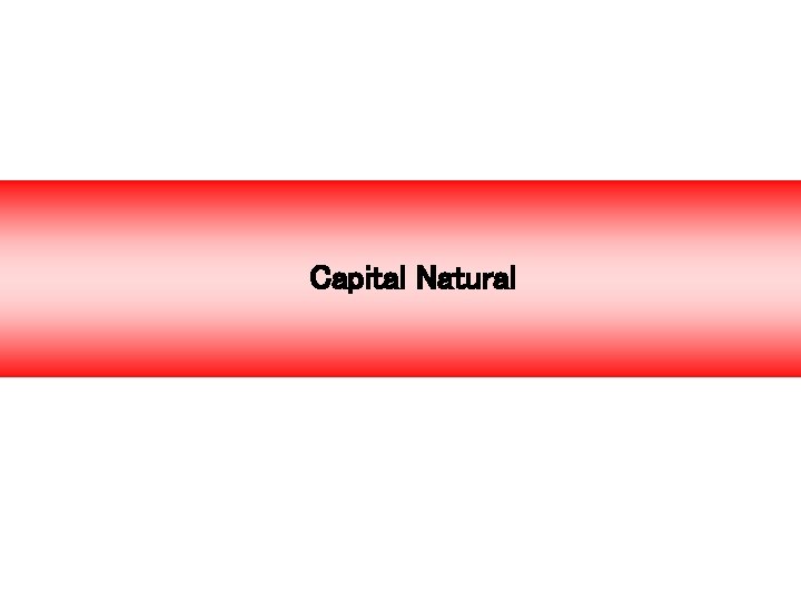 Capital Natural 