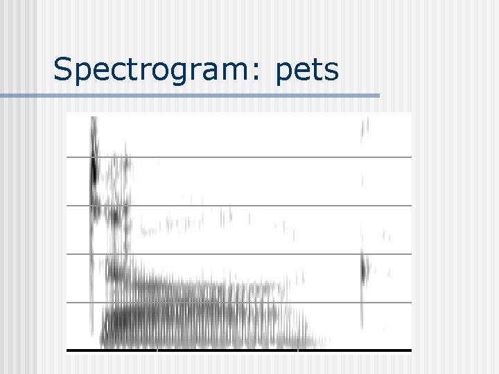 Spectrogram: pets 