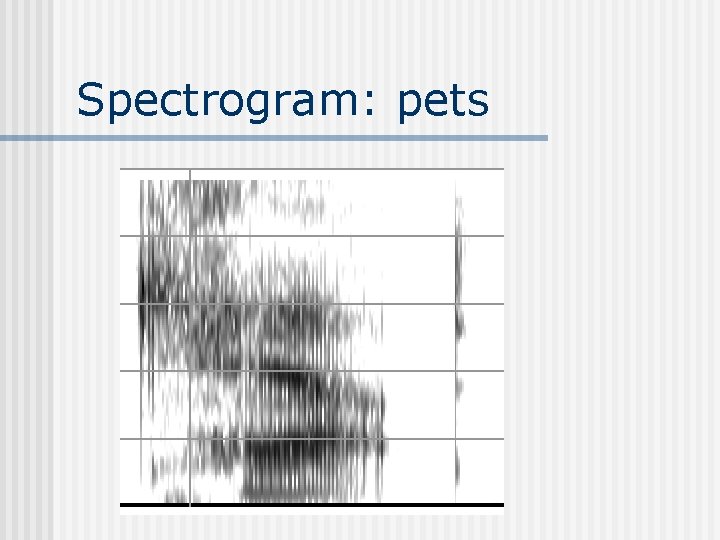 Spectrogram: pets 