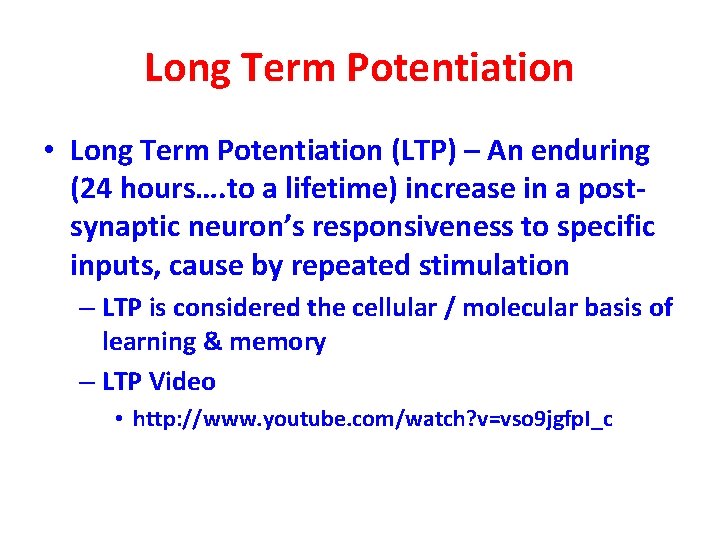 Long Term Potentiation • Long Term Potentiation (LTP) – An enduring (24 hours…. to