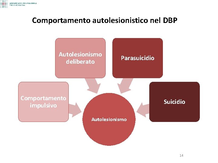 Comportamento autolesionistico nel DBP Autolesionismo deliberato Parasuicidio Comportamento impulsivo Suicidio Autolesionismo 14 
