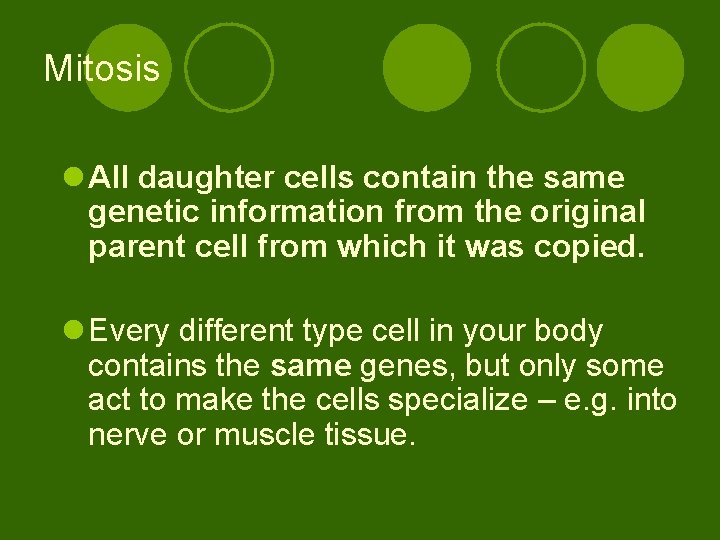 Mitosis l All daughter cells contain the same genetic information from the original parent Mitosis l All daughter cells contain the same genetic information from the original parent