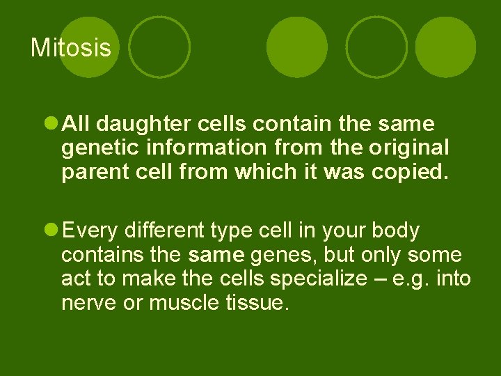 Mitosis l All daughter cells contain the same genetic information from the original parent