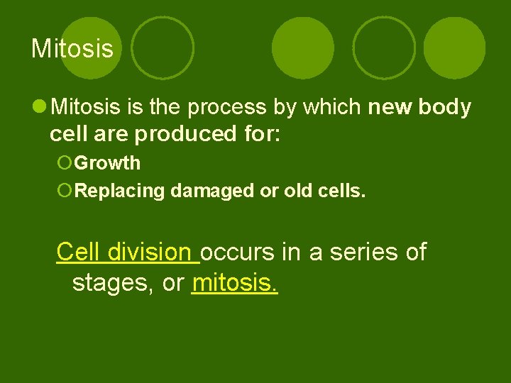 Mitosis l Mitosis is the process by which new body cell are produced for: