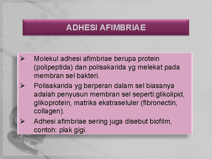 ADHESI AFIMBRIAE Ø Ø Ø Molekul adhesi afimbriae berupa protein (polipeptida) dan polisakarida yg