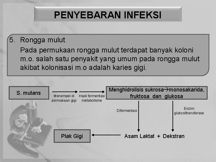 PENYEBARAN INFEKSI 5. Rongga mulut Pada permukaan rongga mulut terdapat banyak koloni m. o.