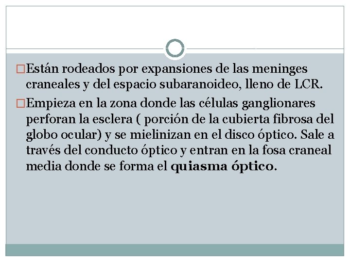 �Están rodeados por expansiones de las meninges craneales y del espacio subaranoideo, lleno de