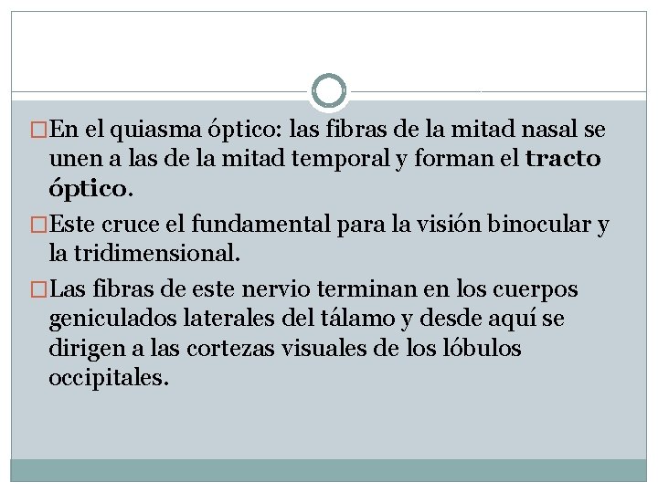 �En el quiasma óptico: las fibras de la mitad nasal se unen a las