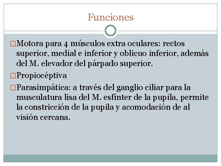 Funciones �Motora para 4 músculos extra oculares: rectos superior, medial e inferior y oblicuo