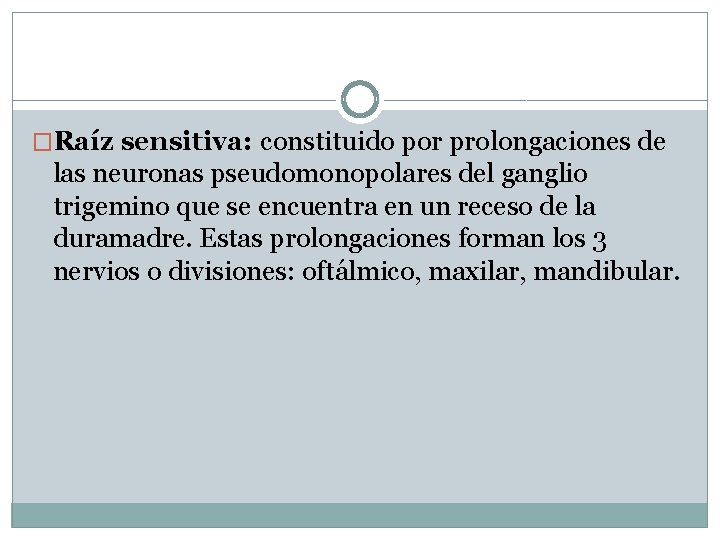 �Raíz sensitiva: constituido por prolongaciones de las neuronas pseudomonopolares del ganglio trigemino que se