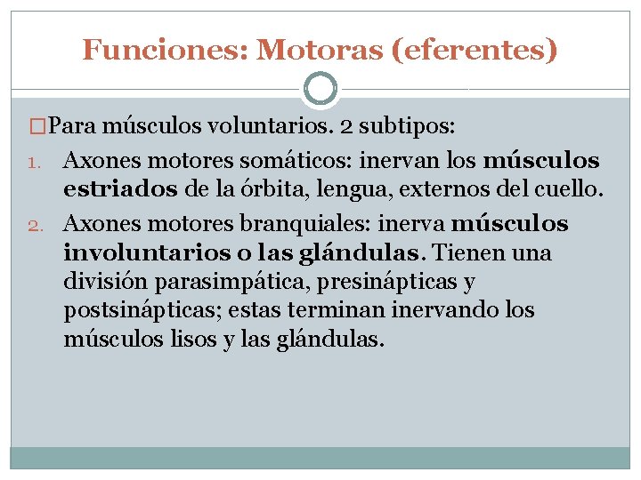 Funciones: Motoras (eferentes) �Para músculos voluntarios. 2 subtipos: Axones motores somáticos: inervan los músculos
