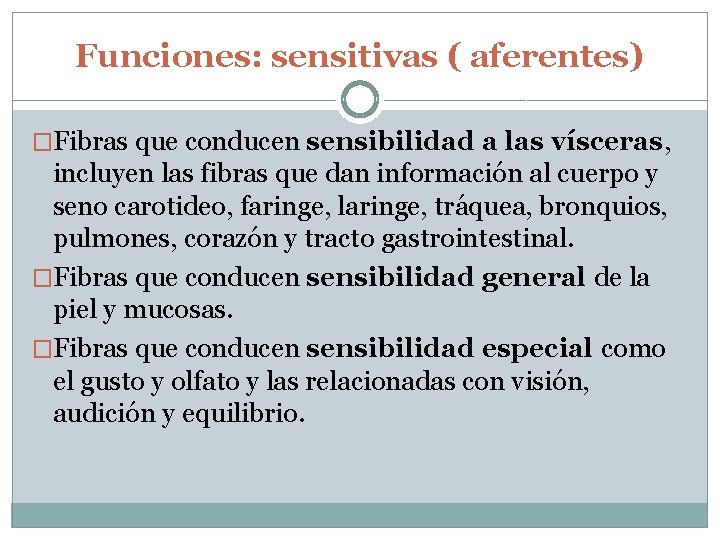 Funciones: sensitivas ( aferentes) �Fibras que conducen sensibilidad a las vísceras, incluyen las fibras