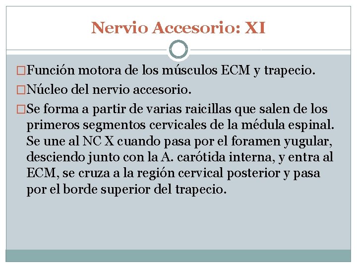 Nervio Accesorio: XI �Función motora de los músculos ECM y trapecio. �Núcleo del nervio