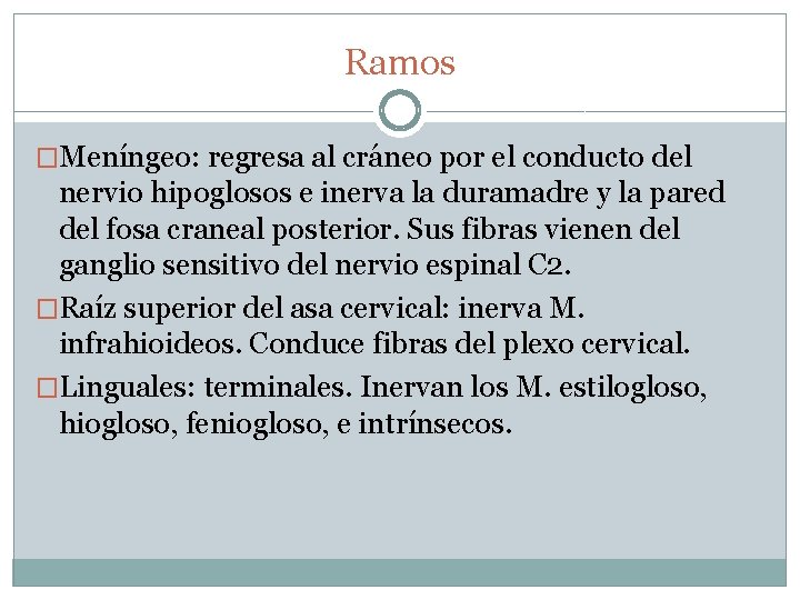 Ramos �Meníngeo: regresa al cráneo por el conducto del nervio hipoglosos e inerva la