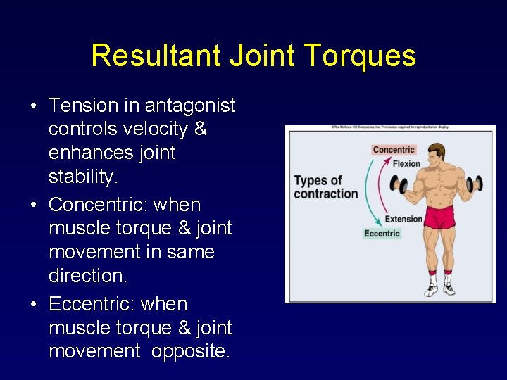 Resultant Joint Torques • Tension in antagonist controls velocity & enhances joint stability. •