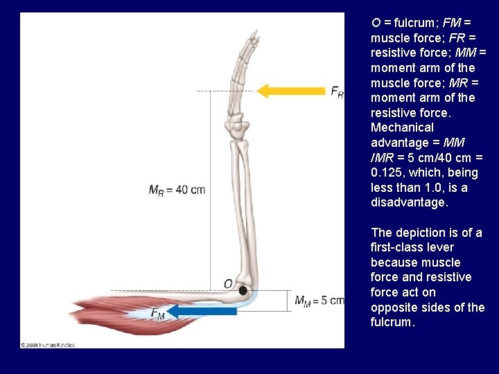 Figure 4. 3 O = fulcrum; FM = muscle force; FR = resistive force;