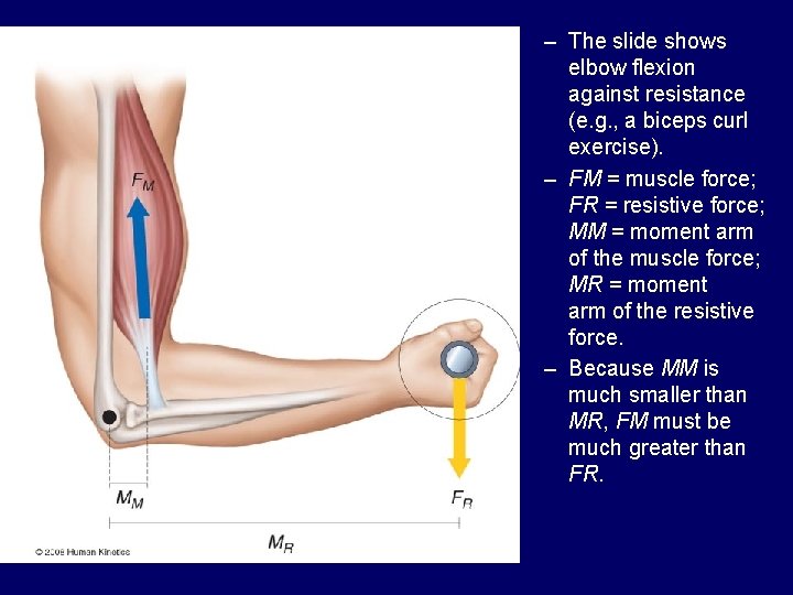 Figure 4. 5 – The slide shows elbow flexion against resistance (e. g. ,