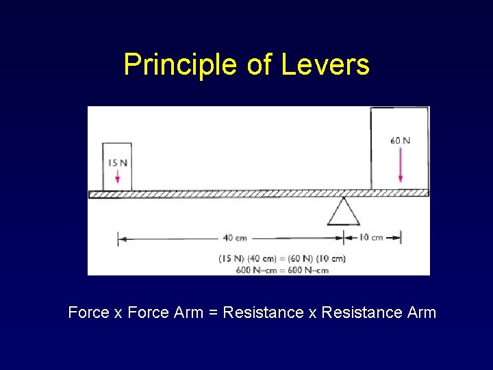 Principle of Levers Force x Force Arm = Resistance x Resistance Arm 