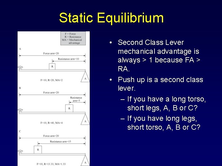 Static Equilibrium • Second Class Lever mechanical advantage is always > 1 because FA