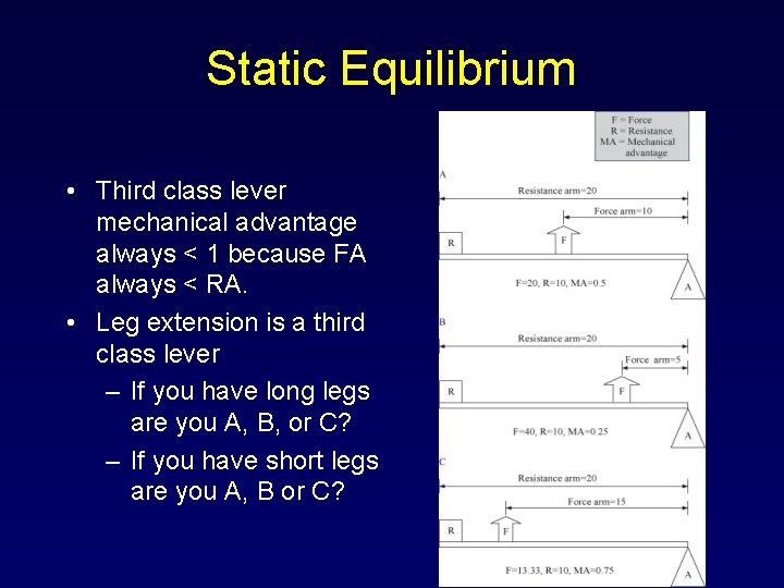 Static Equilibrium • Third class lever mechanical advantage always < 1 because FA always