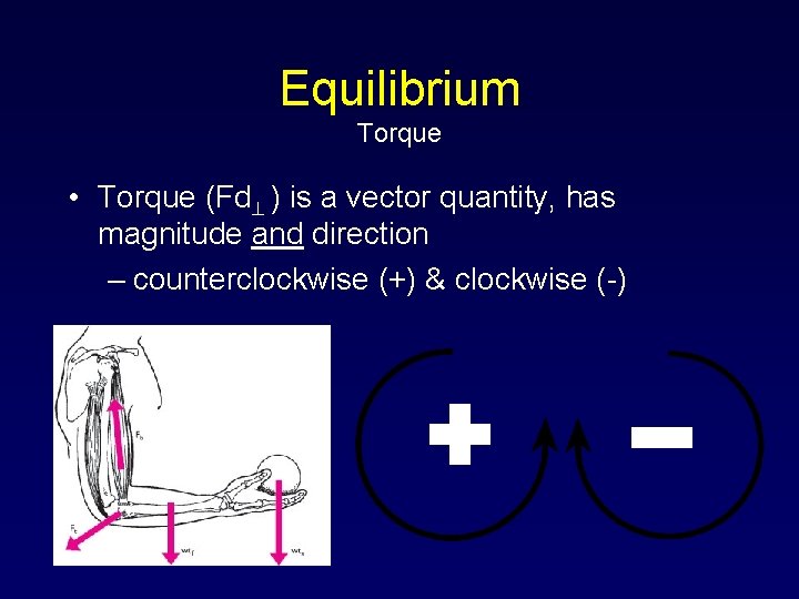 Equilibrium Torque • Torque (Fd ) is a vector quantity, has magnitude and direction