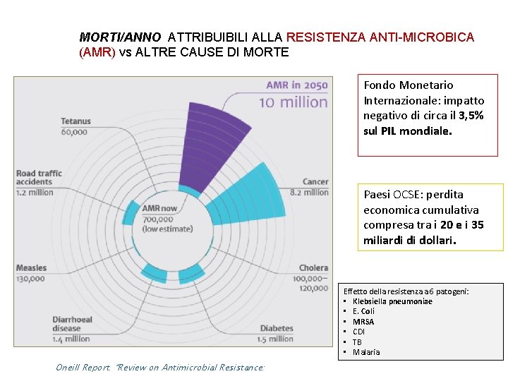 MORTI/ANNO ATTRIBUIBILI ALLA RESISTENZA ANTI-MICROBICA (AMR) vs ALTRE CAUSE DI MORTE Fondo Monetario Internazionale: